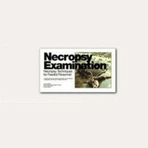 NECROPSY EXAMINATION